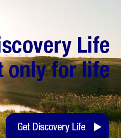 Get Discovery Life